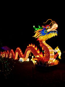 chinese new year dragon