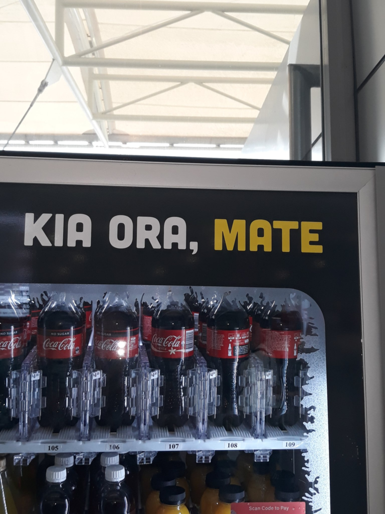 Coca Cola Marketing Blunder