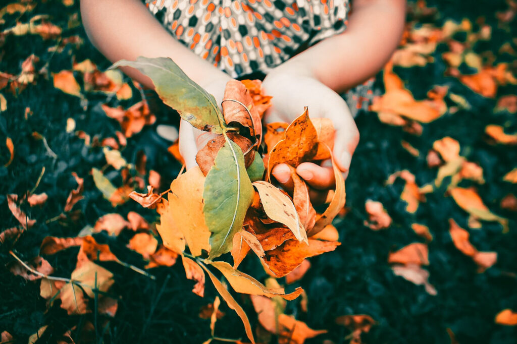 Fall Cultural Celebrations 