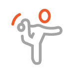 icon flexible solution